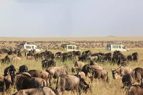 The 5-day Serengeti migration safari tour package