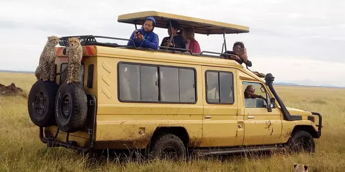 A group of tourists during a 1-day Tanzania group joining safari in Ngorongoro Crater A group of tourists during a 1-day Tanzania group joining safari in Ngorongoro Crater