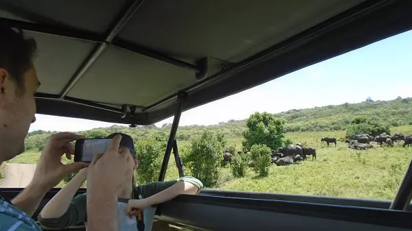 A day trip safari in Ngorongoro Crater during a 1-day Tanzania safari tour package