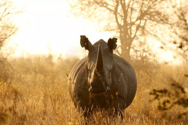 5-Day Tanzania Camping Safari Tour 5-Day Tanzania Camping Safari Tour