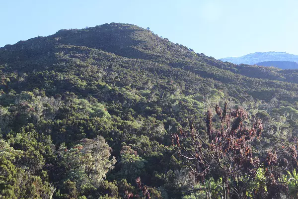 6-Day Umbwe Route Kilimanjaro Group Climb Package